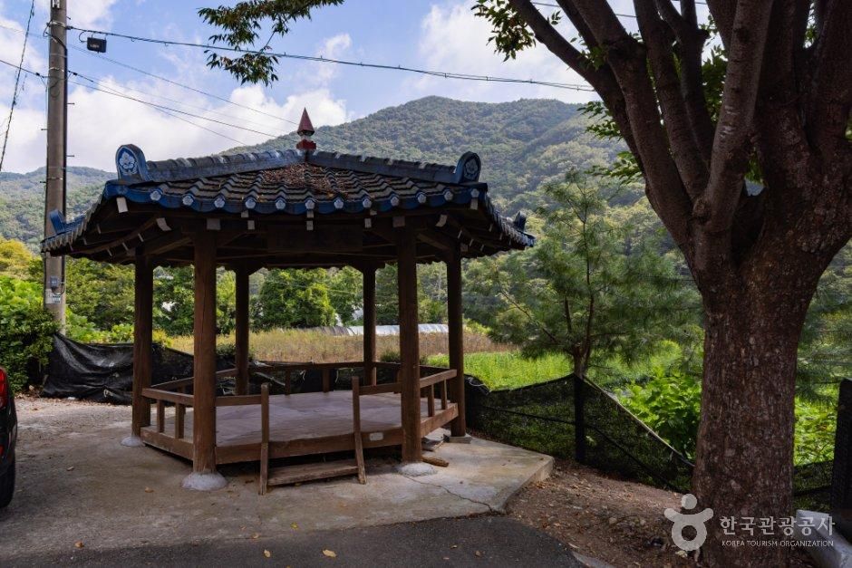 충남_부여군_거전마을 (1).jpg