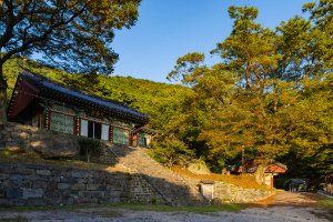석련사(홍성)