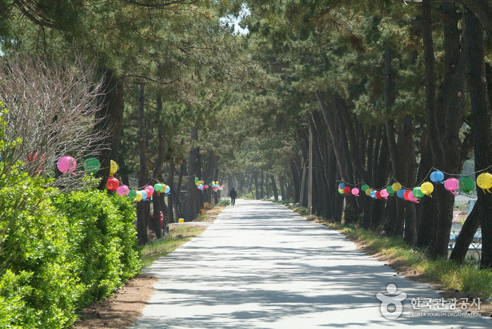 문암해변 문암해변