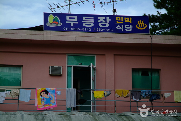 신지 명사십리해수욕장 신지 명사십리해수욕장