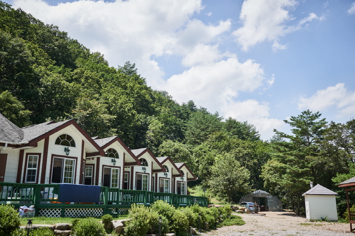 樹林台村