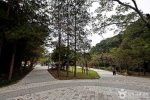 세천공원 (4)