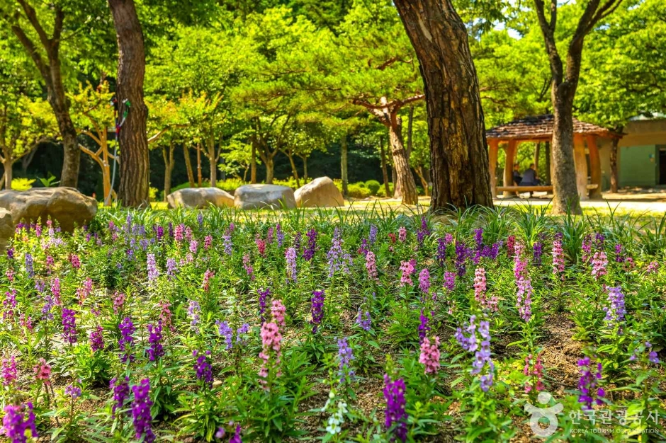 大邱前山公园