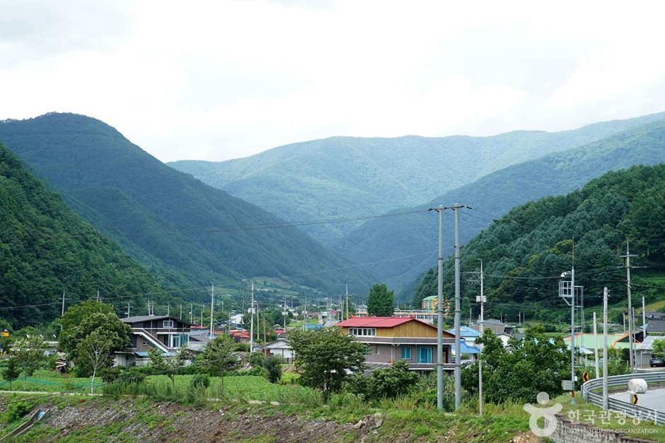 旌善 加里王山村