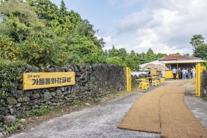 가을동화 감귤밭