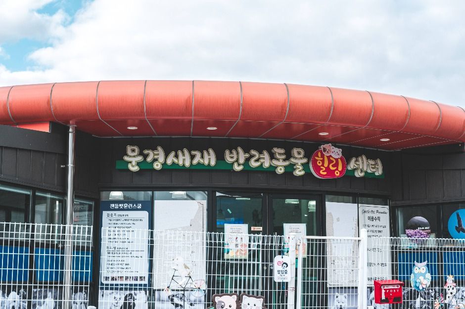 闻庆鸟岭宠物治愈中心