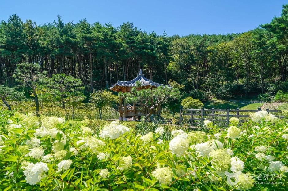 云堤山森林浴场