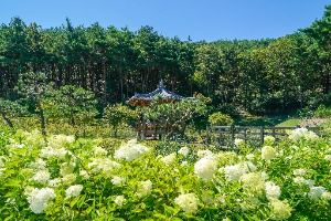 운제산산림욕장