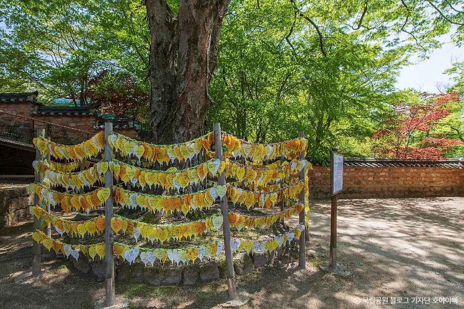 합천_가야산국립공원(합천 (3).jpg