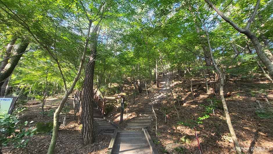 화왕산자연휴양림