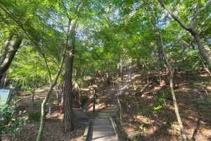 화왕산자연휴양림