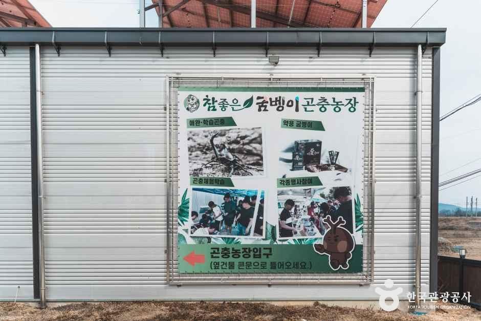 참좋은굼벵이 곤충농장