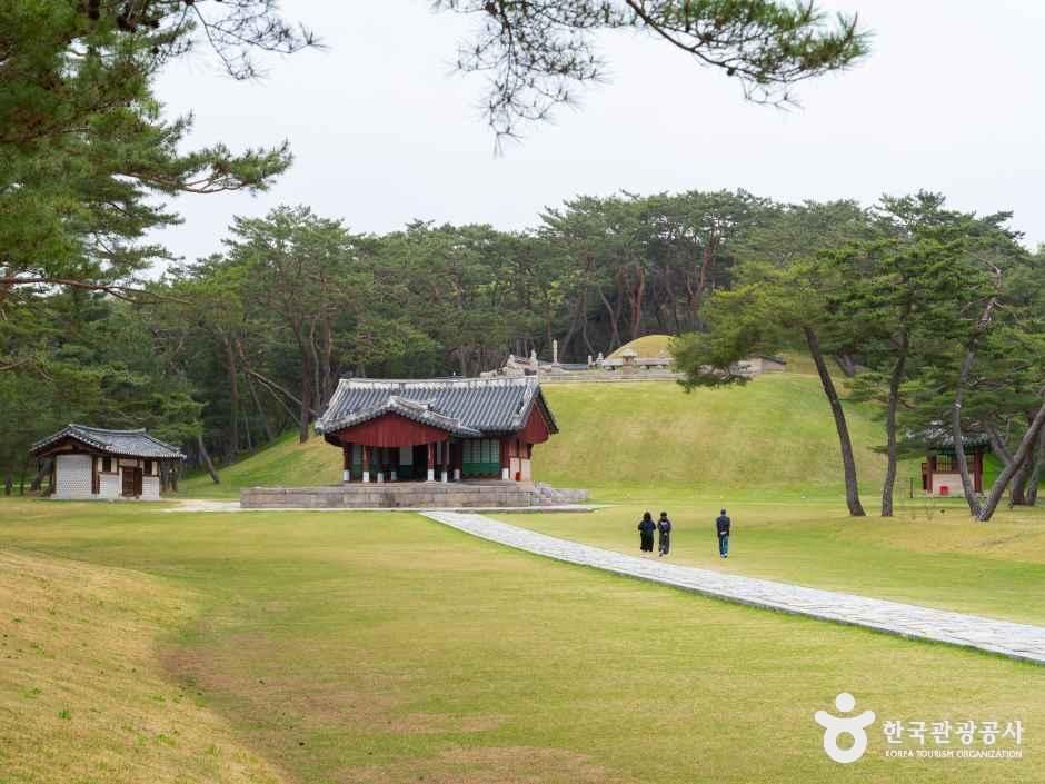 4062543 image2 1 예스키즈존 탐험대 : 실패 없는 육아여행