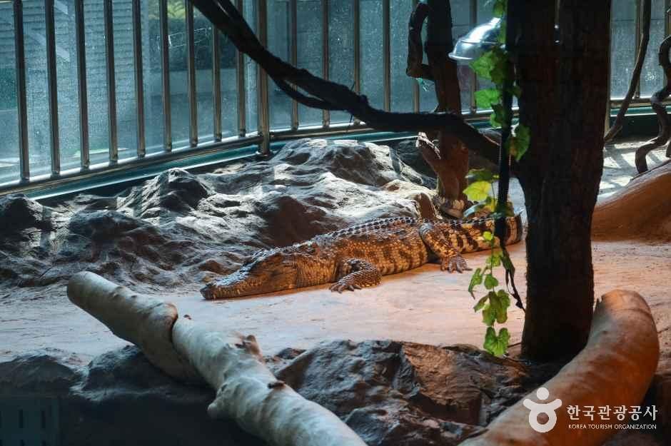 함평양서파충류생태공원