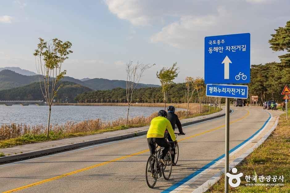 [江原平和ヌリ自転車道 20コース] 花津浦 潟湖の道