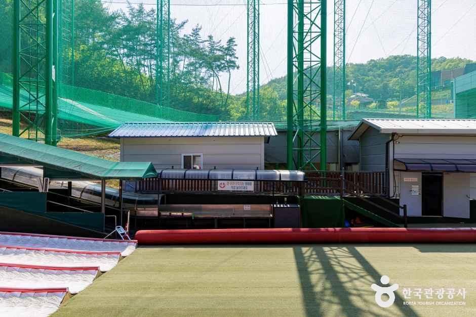 단양 사계절썰매장