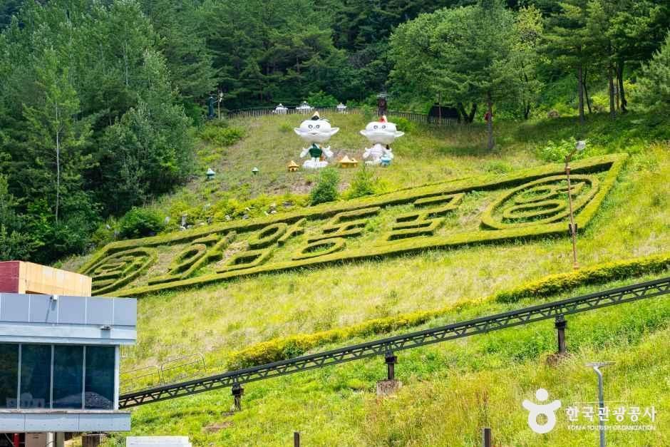 화암동굴 (강원고생대 국가지질공원)