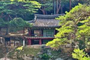 경남_거창_수승대_요수정_전경_3.JPG