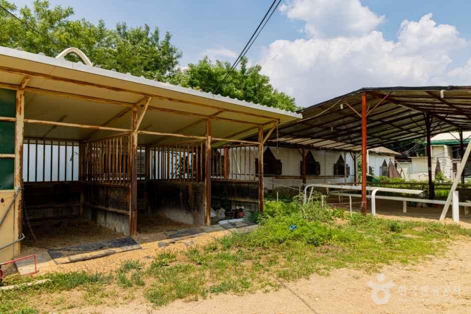 인천승마공원