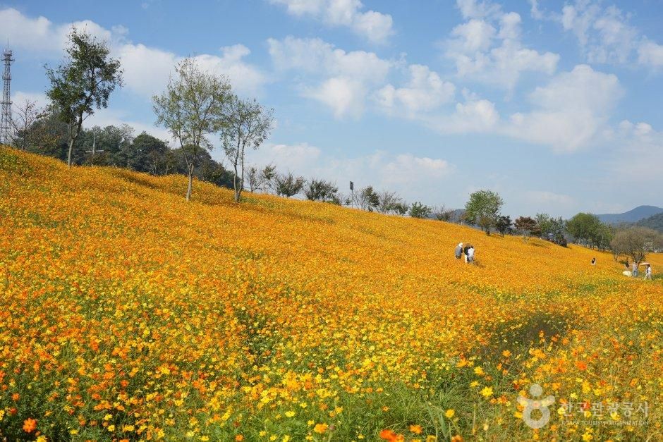 영산강정원 사진(한국관광공사 제공)