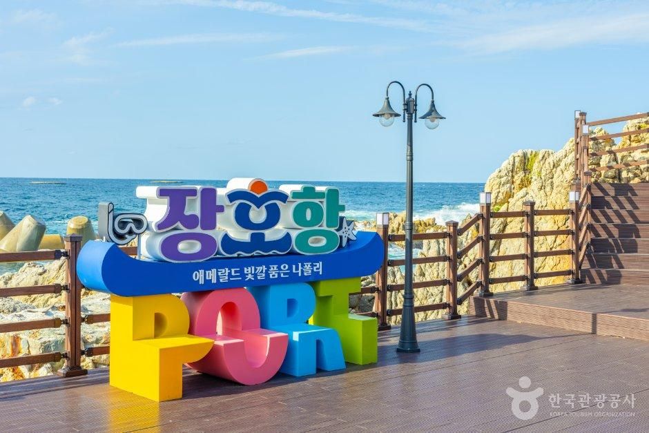 강원_삼척시_장호어촌체험마을 (5).jpg