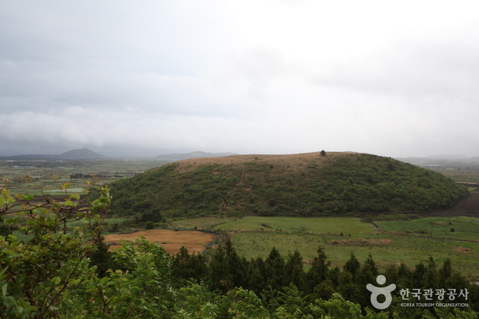 다랑쉬오름(월랑봉)