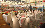 World Taekwondo Culture Expo (세계 태권도 문화 엑스포)
