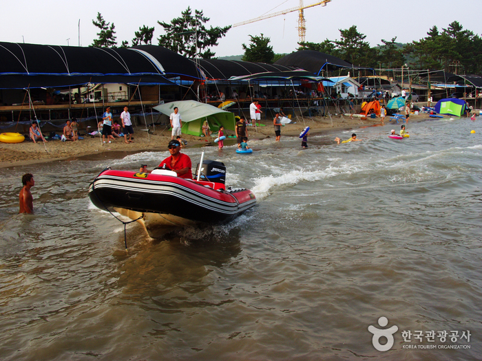 율포솔밭해변 및 해수풀장 율포솔밭해변 및 해수풀장