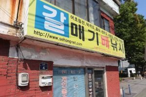 갈매기배낚시