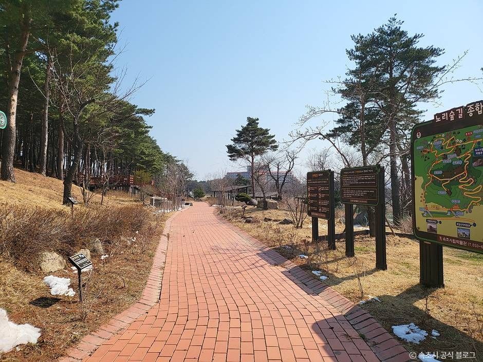 Nori Forest Trail