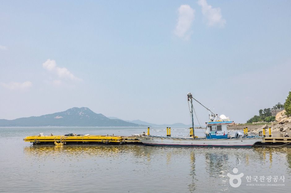 黄青浦
