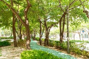 서울_거리공원 (3)