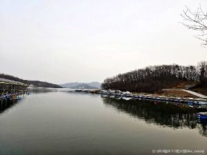 길정 낚시터 사진 5
