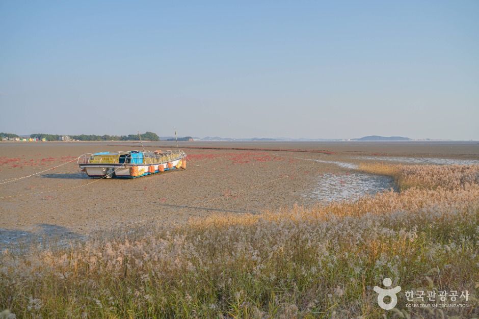 해뜨는 대부도 고랫부리