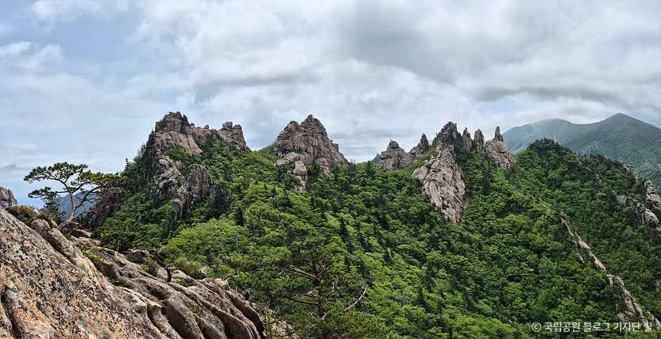 강릉_노인봉 (4).jpg