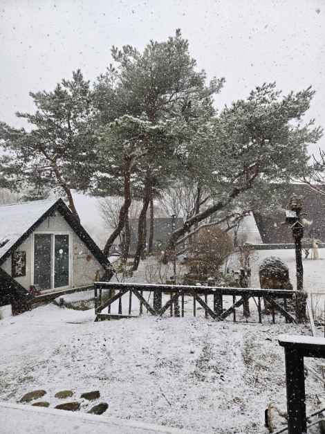 평창_비움펜션_외부전경 (3).jpg