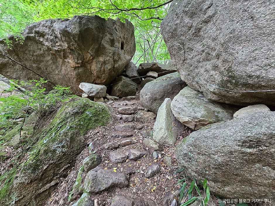 보은_속리산국립공원(충북) (2).jpg
