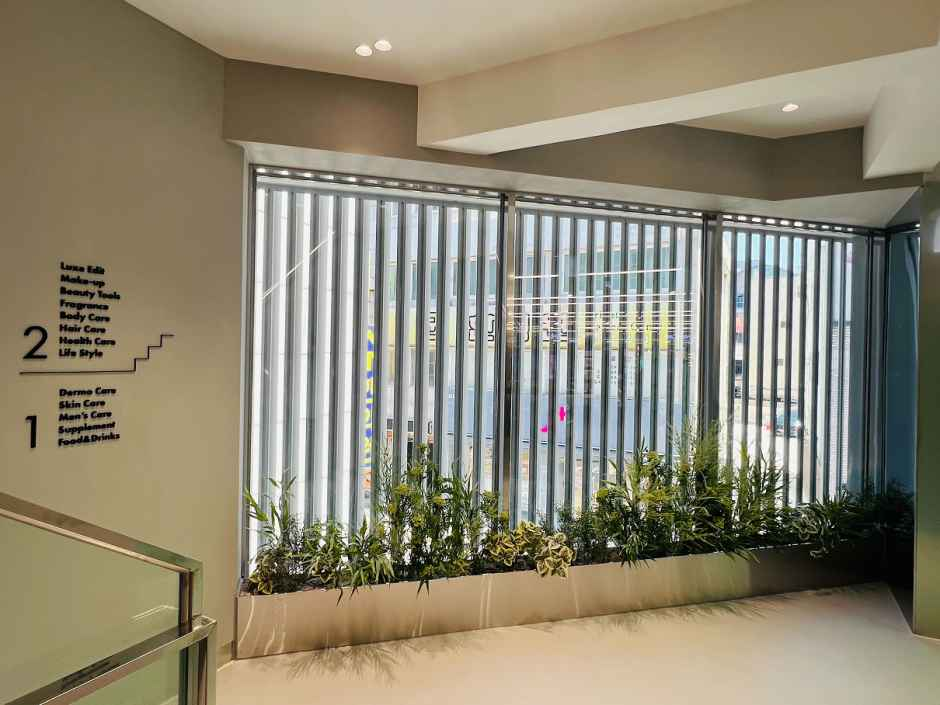 [事後免税店]Olive Young・カンヌン（江陵）タウン(올리브영 강릉 타운)