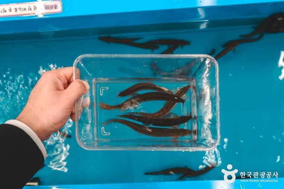 참좋은굼벵이 곤충농장