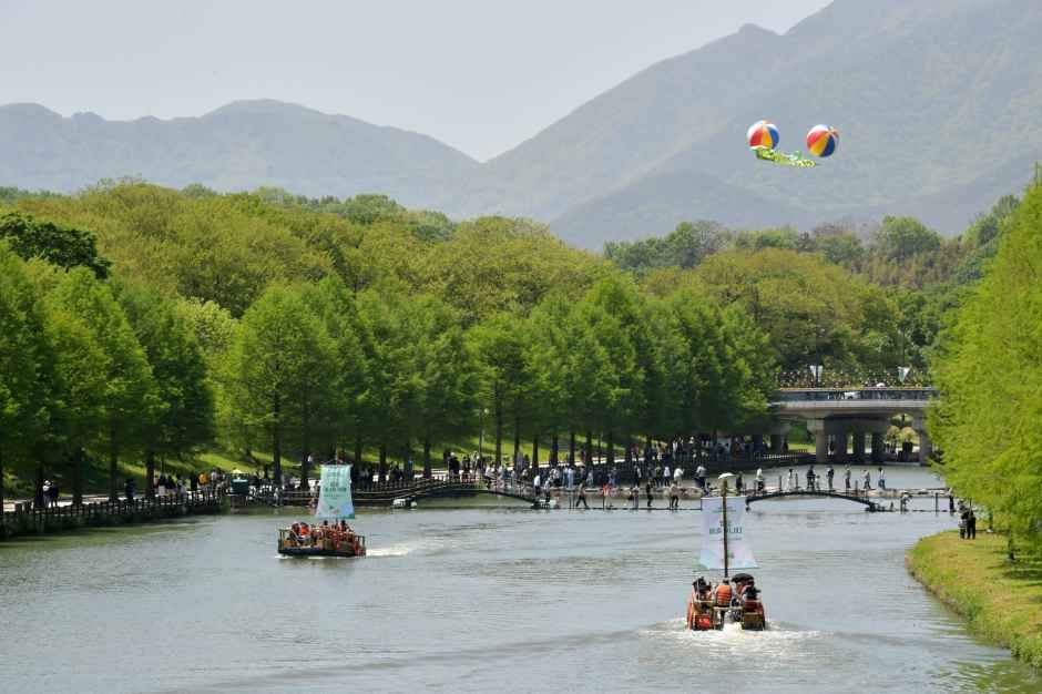 담양 대나무축제