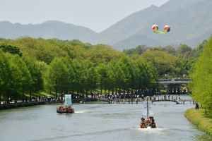 담양 대나무축제