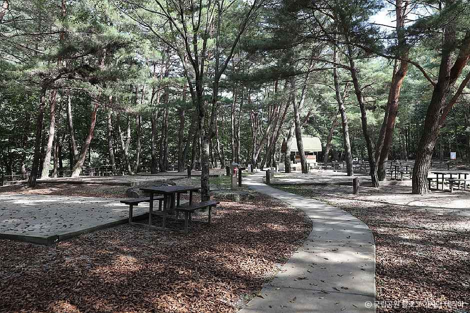 제천_월악산국립공원 용하야영장 (7).jpg