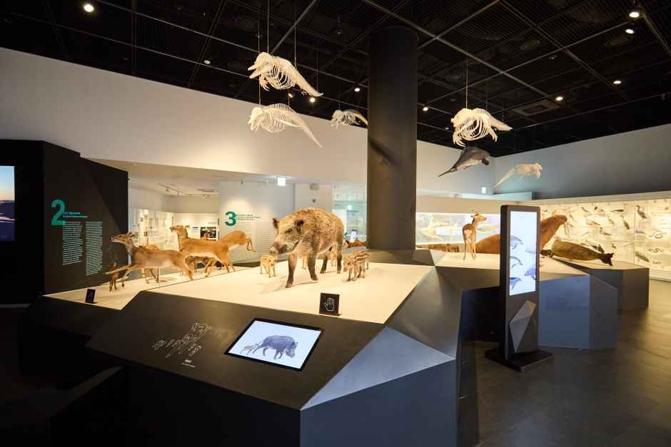 목포_국립호남권생물자원관 (21).jpg