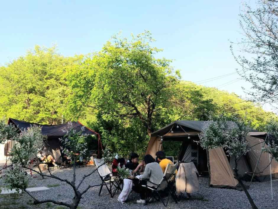 조각가 박시동 미술관 캠핑장 사진 6