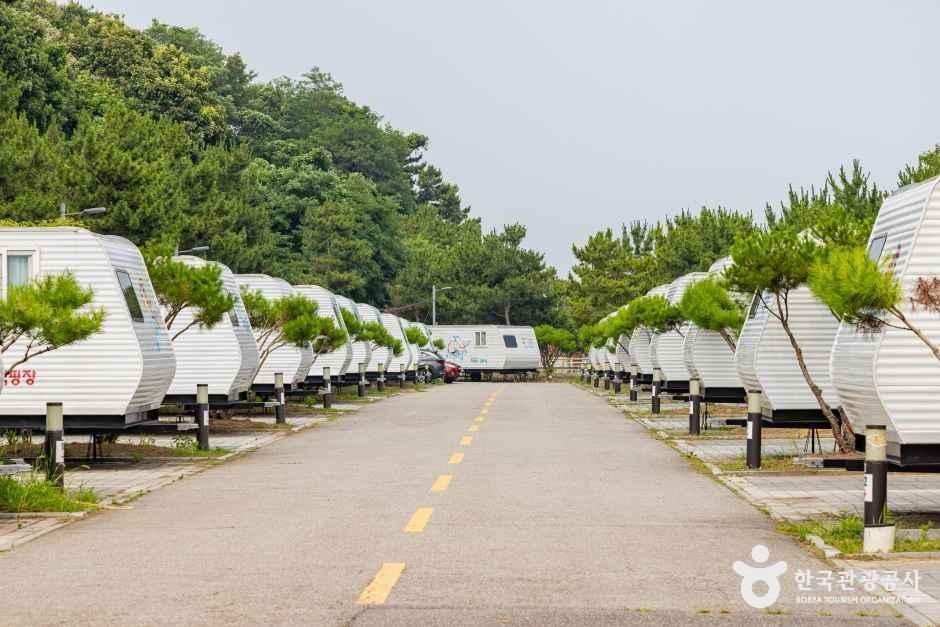 영종씨사이드카라반