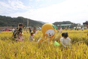 Seongju Gayasan Golden Fields Grasshopper Festival