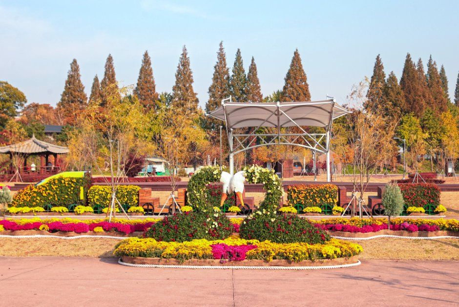 Dangjin Chrysanthemum Exhibition