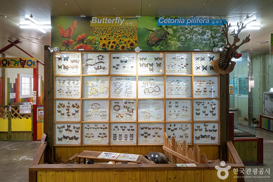 Insect Theme Trip