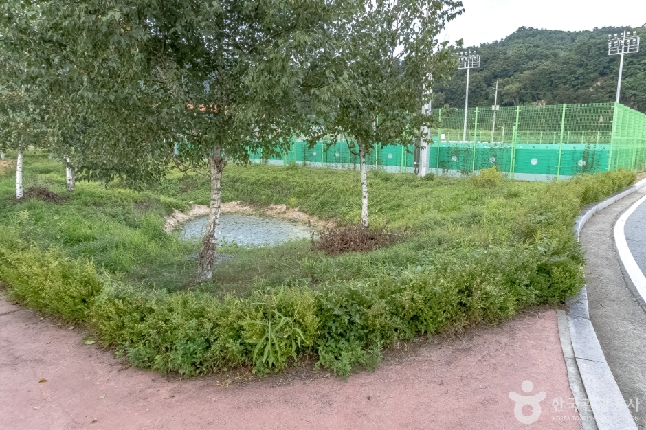 サネ体育公園