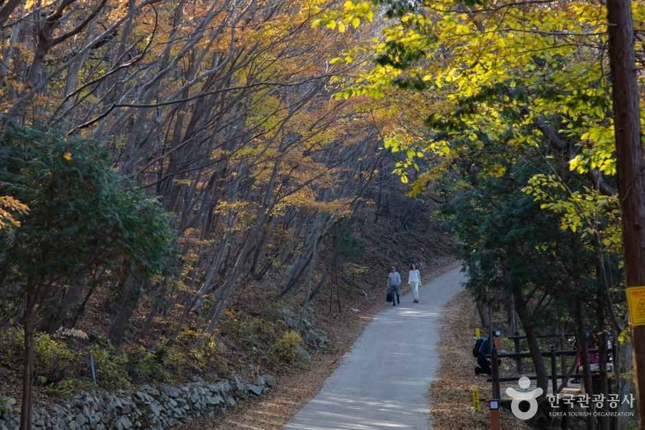 금산 보리암(남해)